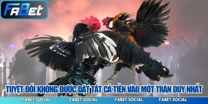 Tuyệt đối không được đặt tất cả tiền vào một trận duy nhất