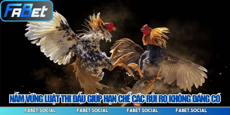 Nắm vững luật thi đấu giúp hạn chế các rủi ro không đáng có