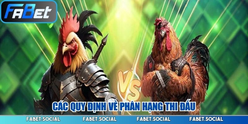 Các quy định về phân hạng thi đấu